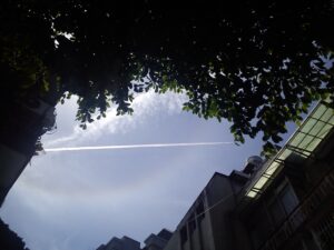 DSC_0201